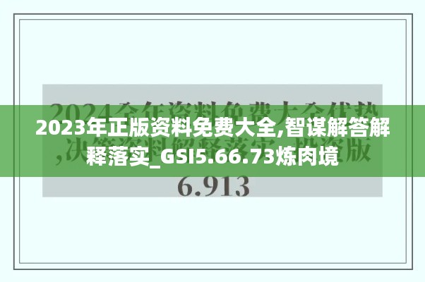 2023年正版资料免费大全,智谋解答解释落实_GSI5.66.73炼肉境