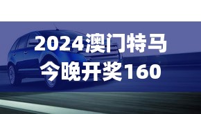 2024澳门特马今晚开奖160期,合理化执行策略_SRX2.53.55炼肉境