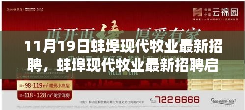 蚌埠现代牧业最新招聘启事，探寻绿色牧场上的职业发展之路