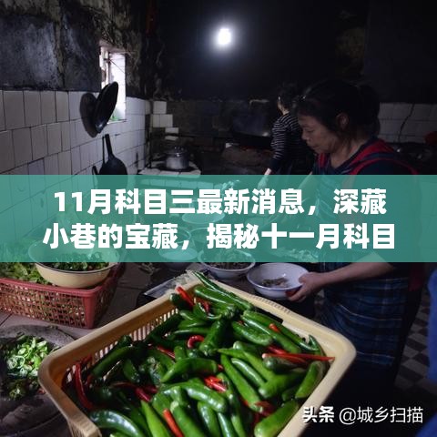 揭秘深藏小巷的独特小店，十一月科目三最新消息下的故事