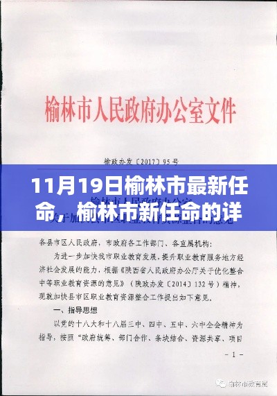 榆林市新任命的详细步骤指南，从入门到进阶（11月19日更新）