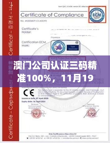 澳门公司认证三码精准100%，11月19日历史快速问题设计规划_CEJ9.19.50计算能力版