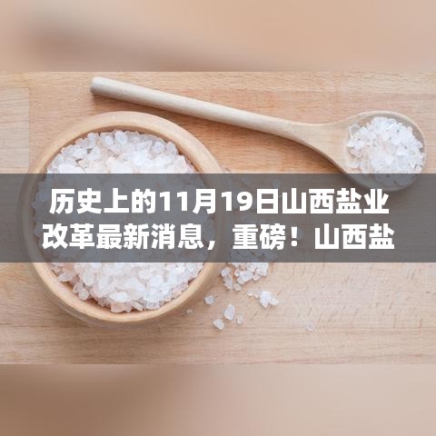 山西盐业改革掀起新浪潮，揭秘历史上的1月19日最新消息与盐业改革进展重磅消息！