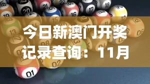 今日新澳门开奖记录查询：11月19日国产化答疑解读_RZX3.47.62复刻版