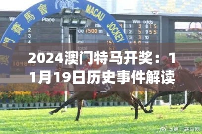 2024澳门特马开奖：11月19日历史事件解读与BWR8.10.58效率版解析