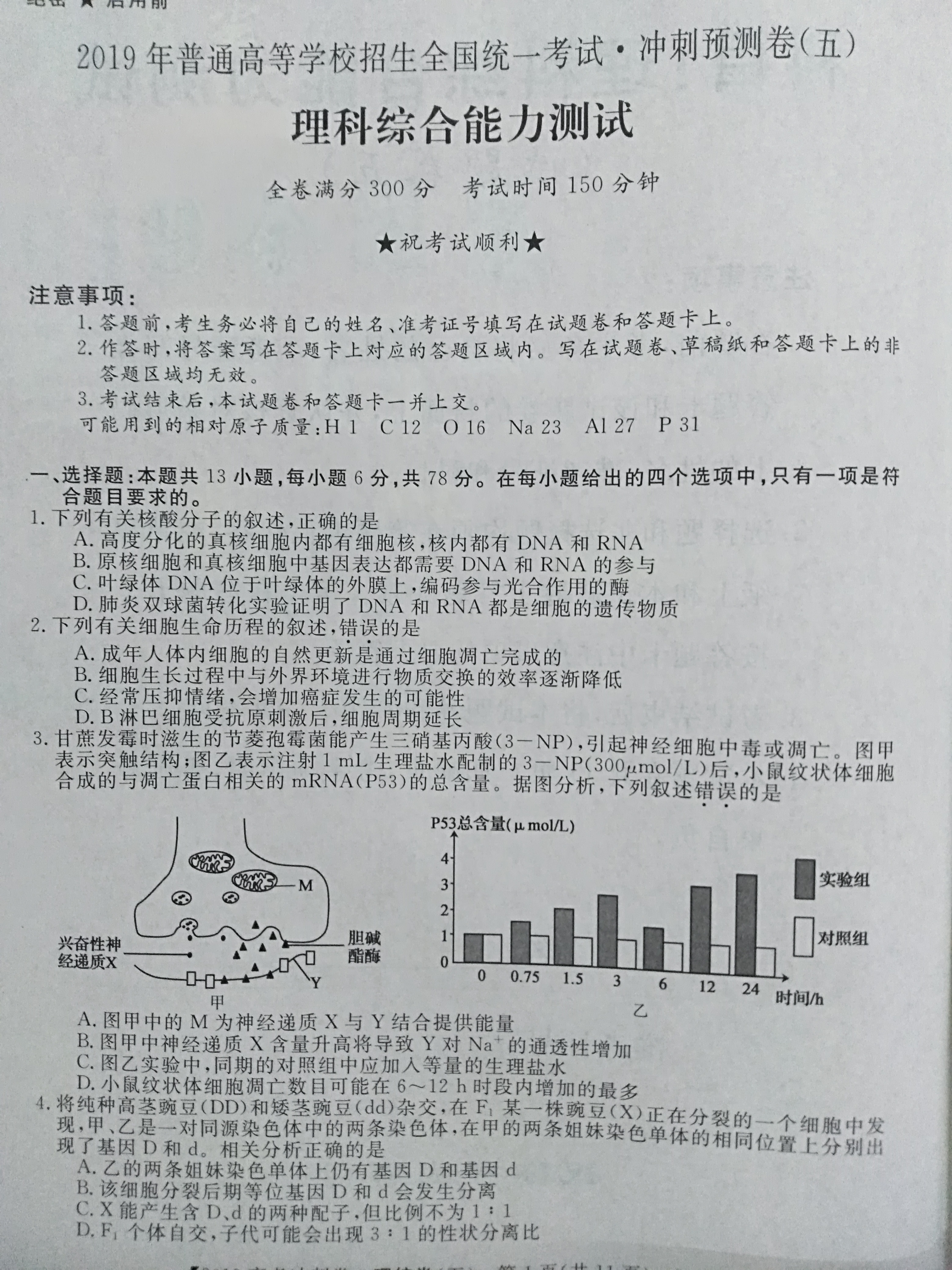 揭秘最新高考冲刺卷理综，科技赋能，开启智能学习纪元！