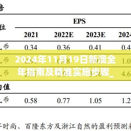 2024年11月19日新澳全年指南及精准实施步骤_WAN2.27.31科技版