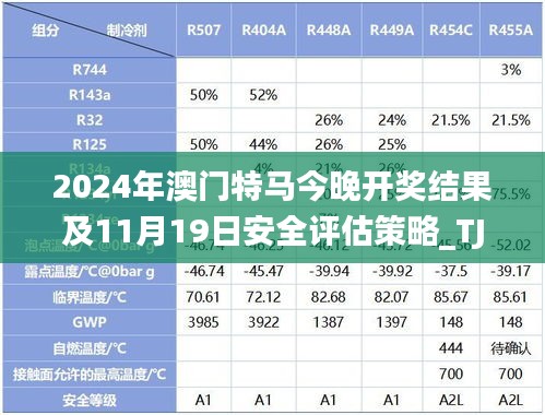 2024年澳门特马今晚开奖结果及11月19日安全评估策略_TJB9.12.46精选版