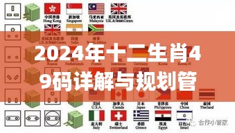 2024年十二生肖49码详解与规划管理版_EQR1.47.62