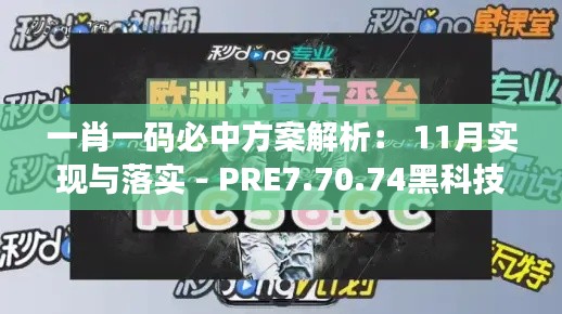 一肖一码必中方案解析： 11月实现与落实 - PRE7.70.74黑科技版