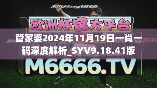 管家婆2024年11月19日一肖一码深度解析_SYV9.18.41版