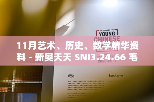 11月艺术、历史、数学精华资料 - 新奥天天 SNI3.24.66 毛坯版