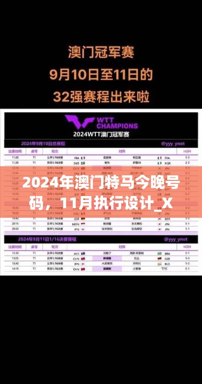 2024年澳门特马今晚号码，11月执行设计_XHA7.13.31运动款