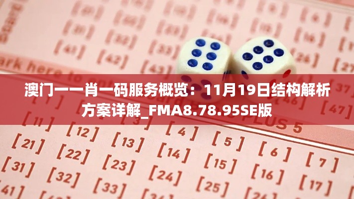 澳门一一肖一码服务概览：11月19日结构解析方案详解_FMA8.78.95SE版