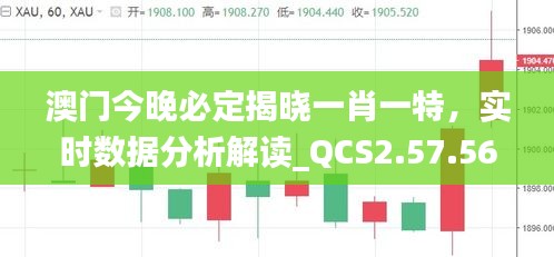 澳门今晚必定揭晓一肖一特，实时数据分析解读_QCS2.57.56探索版