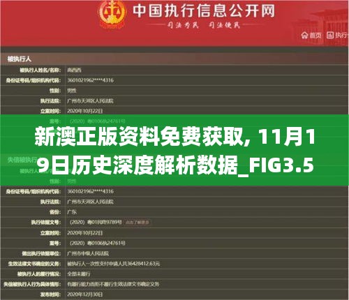 新澳正版资料免费获取, 11月19日历史深度解析数据_FIG3.51.54网络版