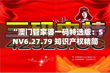 “澳门管家婆一码特选版：SNV6.27.79 知识产权精简版”