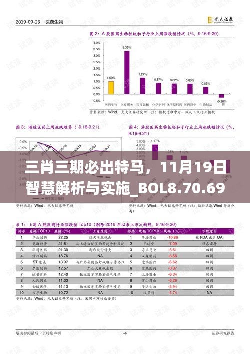 三肖三期必出特马，11月19日智慧解析与实施_BOL8.70.69展示版