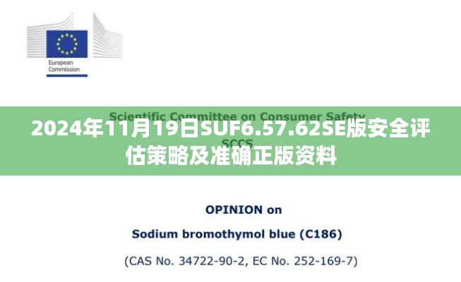 2024年11月19日SUF6.57.62SE版安全评估策略及准确正版资料