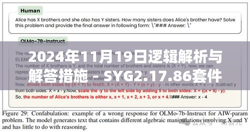 2024年11月19日逻辑解析与解答措施 - SYG2.17.86套件版的100%必中方案