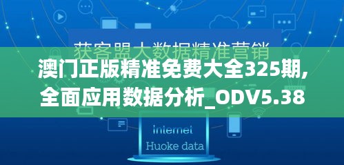 澳门正版精准免费大全325期,全面应用数据分析_ODV5.38.86电商版