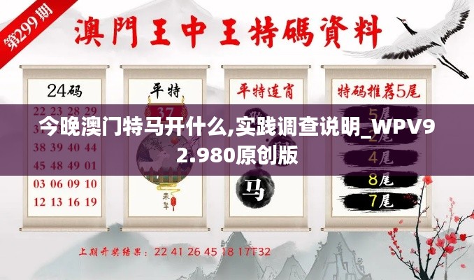 今晚澳门特马开什么,实践调查说明_WPV92.980原创版