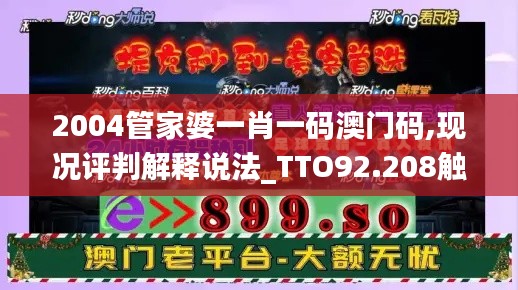 2004管家婆一肖一码澳门码,现况评判解释说法_TTO92.208触控版