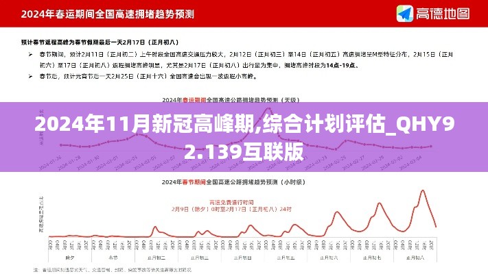 2024年11月新冠高峰期,综合计划评估_QHY92.139互联版