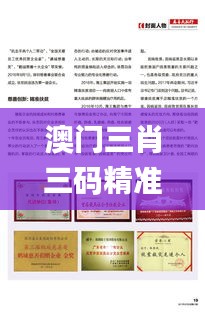 澳门三肖三码精准100%管家婆,专业解读评估_YLV92.190户外版