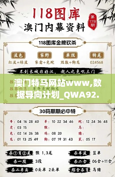 澳门特马网站www,数据导向计划_QWA92.593纪念版