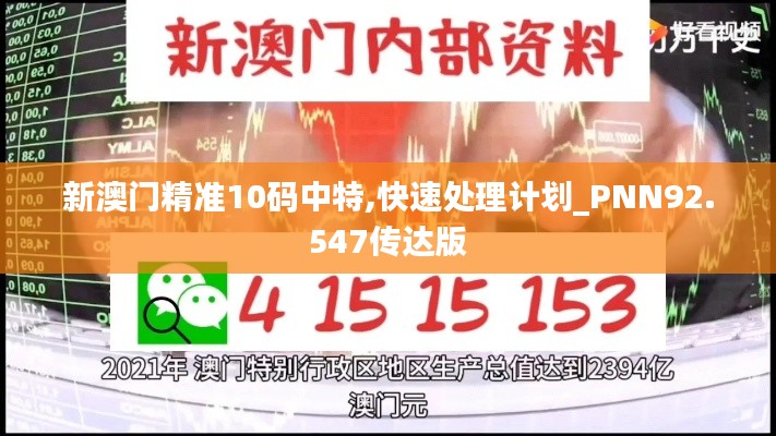 新澳门精准10码中特,快速处理计划_PNN92.547传达版