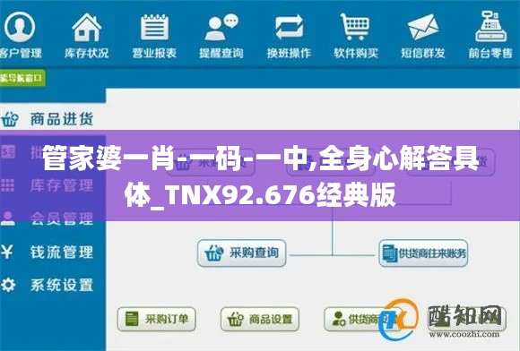 管家婆一肖-一码-一中,全身心解答具体_TNX92.676经典版