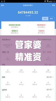 管家婆精准资料免费大全香港,专业数据解释设想_AEY92.386时尚版