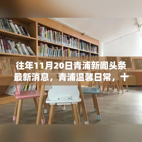 青浦新闻头条与友情故事，十一月二十日的温馨日常