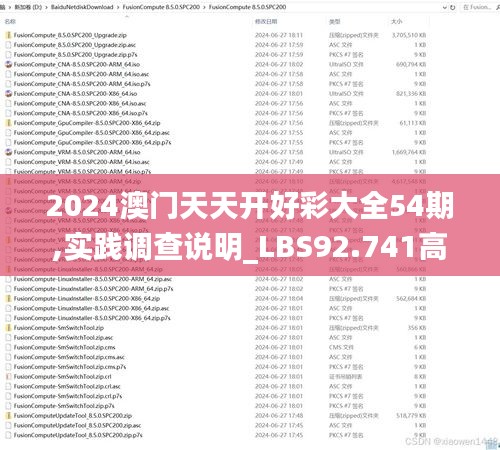 2024澳门天天开好彩大全54期,实践调查说明_LBS92.741高级版