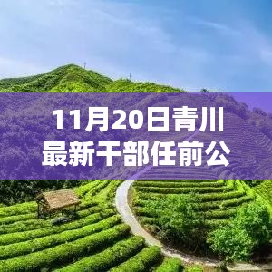 青川最新干部任前公示揭晓，开启发展新篇章的小温馨