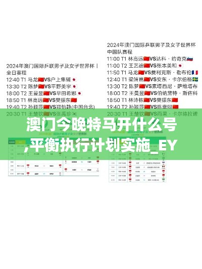 澳门今晚特马开什么号,平衡执行计划实施_EYW92.223游戏版