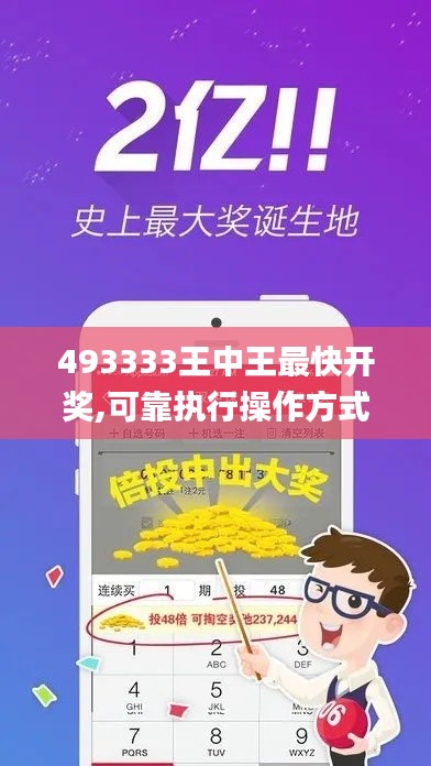 493333王中王最快开奖,可靠执行操作方式_WVJ92.974传承版