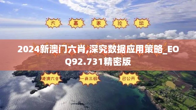 2024新澳门六肖,深究数据应用策略_EOQ92.731精密版