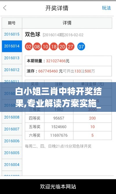 白小姐三肖中特开奖结果,专业解读方案实施_UDF92.784互动版