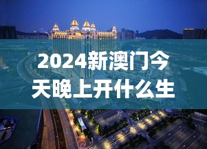 2024新澳门今天晚上开什么生肖,实际调研解析_HYE92.617跨平台版