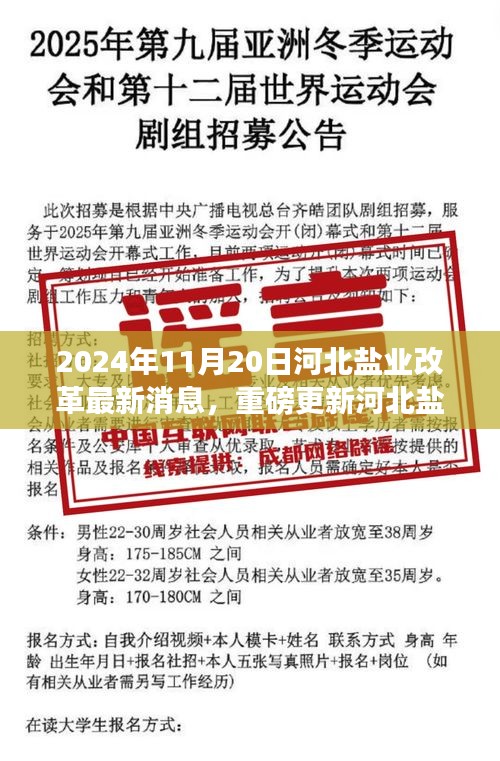 2024年河北盐业改革迈入新阶段，最新消息解析及影响