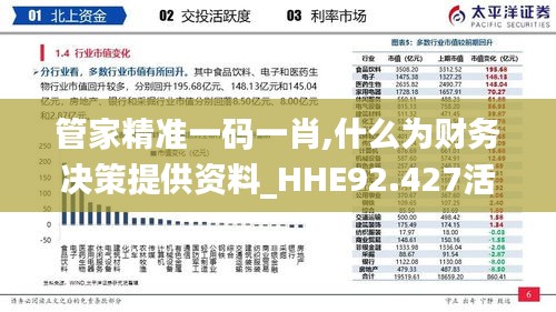 管家精准一码一肖,什么为财务决策提供资料_HHE92.427活现版