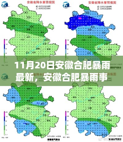 安徽合肥暴雨事件深度解析，特性、体验、竞品对比及用户分析报告（最新消息）