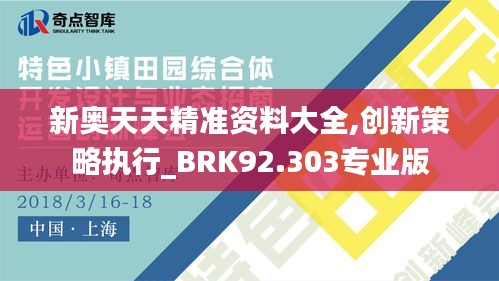 新奥天天精准资料大全,创新策略执行_BRK92.303专业版