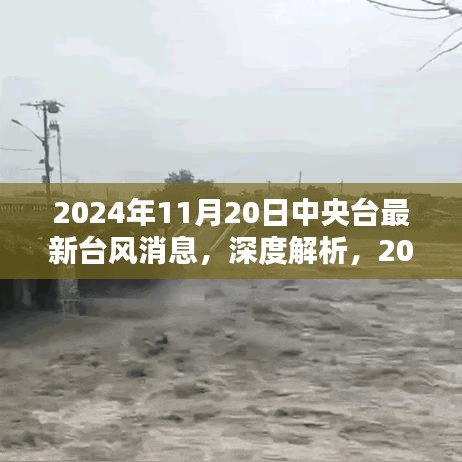 中央台最新台风消息纪实，深度解析2024年台风新动向