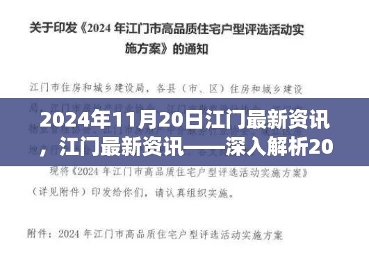 江门市场新动态深度解析，最新资讯与趋势分析（2024年11月20日）