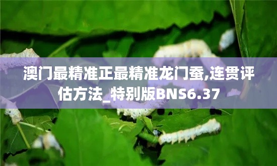 澳门最精准正最精准龙门蚕,连贯评估方法_特别版BNS6.37