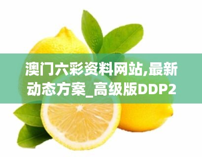 澳门六彩资料网站,最新动态方案_高级版DDP2.31