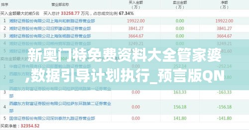 新奥门特免费资料大全管家婆,数据引导计划执行_预言版QNG9.14